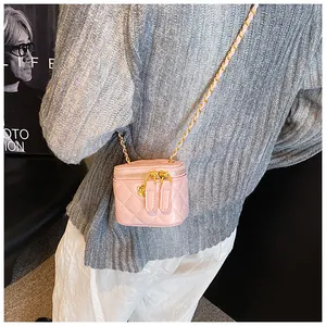Pink mini quilted vanity bag shown on a model featuring gold chain and double zippers