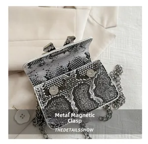 Close-up of magnetic snap closure on snake print mini square bag with silver chain