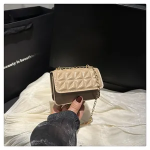 Detail showing the quilted texture and golden chain strap of this stylish mini crossbody bag