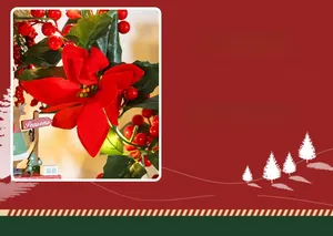 Detail of Christmas garland with red poinsettia flowers, berries and wooden greeting sign