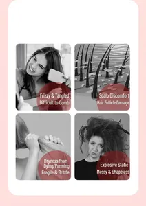 Hair care set detail showing frizzy, tangled hair and scalp pain relief features