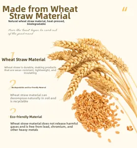 Detail showing eco-friendly natural wheat straw material used for sustainable hair brushes