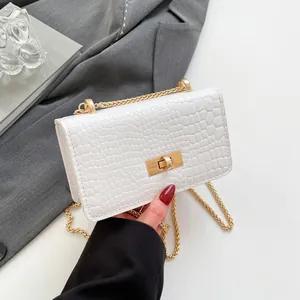 Fashion Women Crocodile Pattern Crossbody Bag Glossy PU Leather Small Square Bag Vintage Chain Shoulder Bag Metal Lock Daily Party