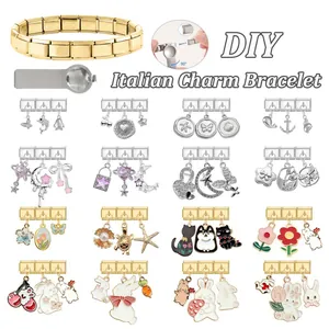 DIY Italian charm bracelet set with gold stainless steel base and 16 unique pendants
