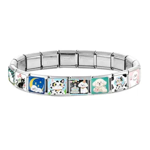 Detailed macro of modular stainless steel charm bracelet featuring cute painted pets
