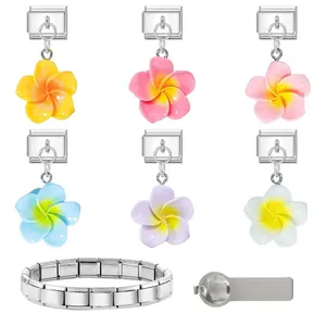 Close-up of modular stainless steel bracelet with six colorful flower charms and tool