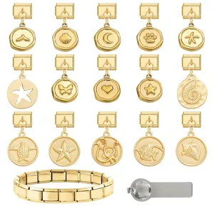 Italian modular charm bracelet kit with stainless steel charms and adjustment tool