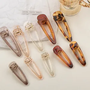 Minimalist transparent acrylic hair clips set in various colors and sizes for women