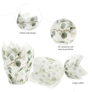 Caissettes tulipes résistantes au gras avec feuilles d'eucalyptus pour pâtisserie