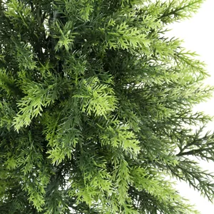 Close-up of realistic Norfolk pine needles with natural green texture for holiday decor