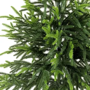 Detailed realistic Norfolk Island Pine branches for Christmas home decor