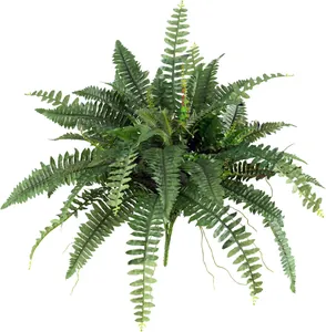 Detailed macro view of artificial Boston fern showing realistic green textured pinnate leaves