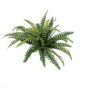 Lush artificial Boston fern bunch with realistic 28 leaves in gradient green on white background