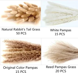 Detail of 100pcs dried pampas grass set with bunny tails and reeds for Nordic home decor