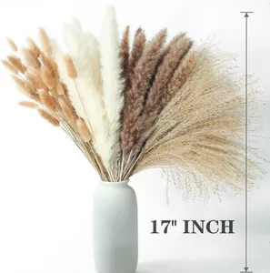 17 inch natural pampas grass bouquet with white and brown dried flowers in white vase