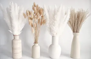 Detail of pampas and bunny tail grass in minimalist ceramic vases for home decor