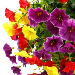 Artificial morning glory outdoor garden plant with purple red yellow flowers and green leaves
