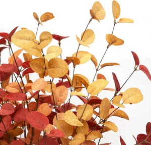 Close-up of artificial eucalyptus leaves with autumn veins in red and orange hues