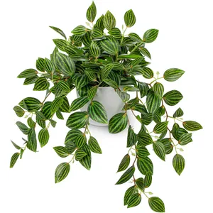 Detailed view of artificial Peperomia leaves with vivid green stripes in a white pot