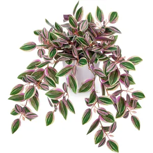 Detail of hanging artificial plant leaves with purple stripes in white ceramic pot