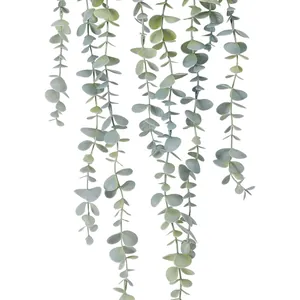 Detailed view of artificial hanging eucalyptus vine with grey-green oval leaves on white