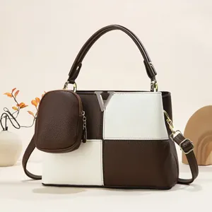 Brown and white checkered leather handbag with silver V logo and small coin purse