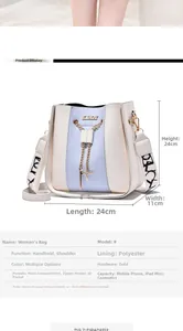 Detailed view of cream and blue bucket bag with gold chain and dimensions.