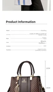 Detailed view of coffee brown handbag showing dimensions 29x12x20cm and letter texture