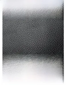 Close-up of black lychee grain leather texture and gold metal logo on a crossbody bag