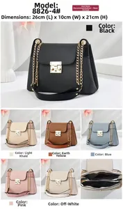 Dettagli dei colori della borsa in pelle PU intrecciata con catena e vano interno
