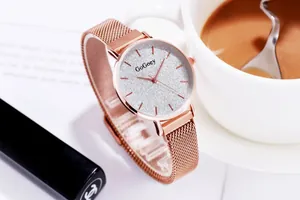 Elegante reloj para mujer en oro rosa con esfera plateada brillante y correa de malla