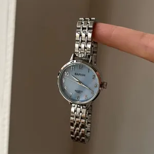 Vue détaillée d'une montre en acier argenté avec cadran en nacre bleu clair et chiffres