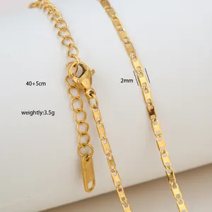 Detail of 2mm gold stainless steel blade chain with lobster clasp and 5cm extender