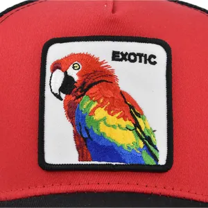 Red baseball cap with a colorful macaw parrot embroidery patch and EXOTIC text detail
