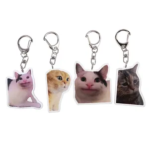 Set of 4 cute acrylic cat meme keychains with funny expressions and metal D-rings