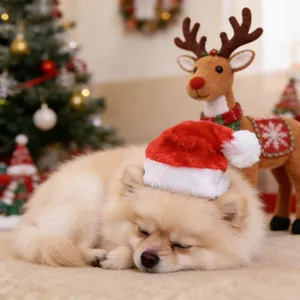 Close-up of a small dog wearing a plush red Christmas hat with soft white pompom detail