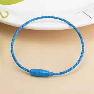 Detailed macro view of a blue stainless steel wire key ring with a secure screw lock closure