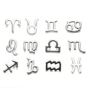 Set of 12 silver alloy zodiac sign pendants for DIY jewelry making and necklaces