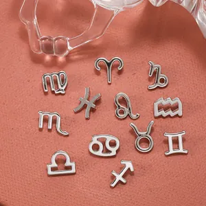 Detailed view of silver zodiac alloy pendants for DIY necklace and bracelet jewelry making