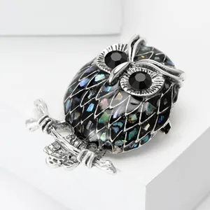 Detail of silver owl brooch featuring iridescent abalone shell inlay and black crystal eyes