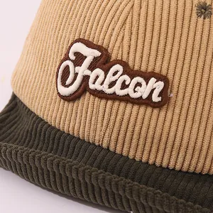 Vue macro du velours côtelé et de la broderie Falcon sur la casquette pour enfant