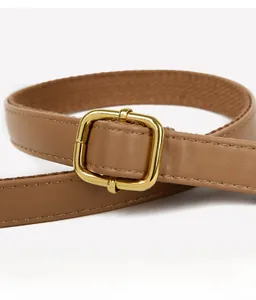 Macro shot of brown leather belt with fiber webbing detail and a polished gold buckle