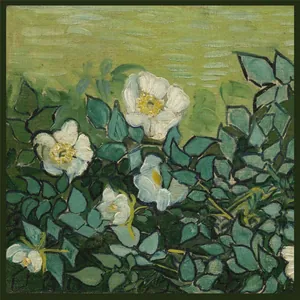 Artistic post-impressionist floral print silk scarf with white roses and green leaves