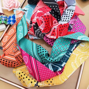 Colorful paisley skinny silk scarf set for handbags, hair ties, and neck decoration