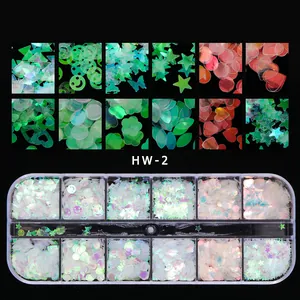 Laser Herz Stern Nagel Pailletten Set in 12-Gitter Box für DIY Maniküre Nail Art Deko