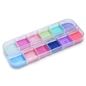 Palette de paillettes ongles 12 couleurs avec éclat métallique en boîte transparente