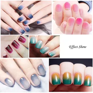 Outil d'ombrage pour ongles double embout avec divers effets de dégradé coloré
