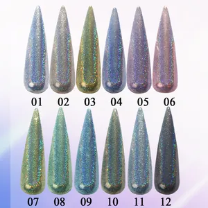 12-color metallic nail laser glitter powder set with chrome and chameleon effects