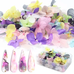 Natural Dried Flower Nail Art Decorations Multicolor Preserved Hydrangea Petals For DIY Manicure Japanese Style Women Beauty Supplies