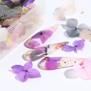 Stiletto false nails with purple dried flowers, gold foil, and red rhinestones